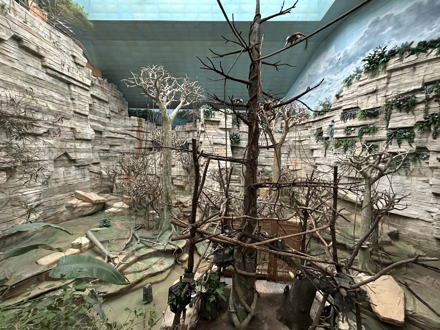 Tropic World South America - Tropical Forests