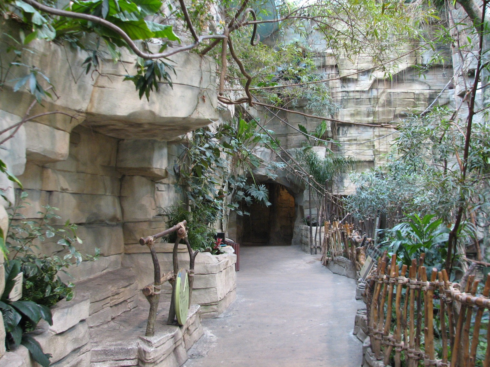 Tropic World - South America - Viewing Area