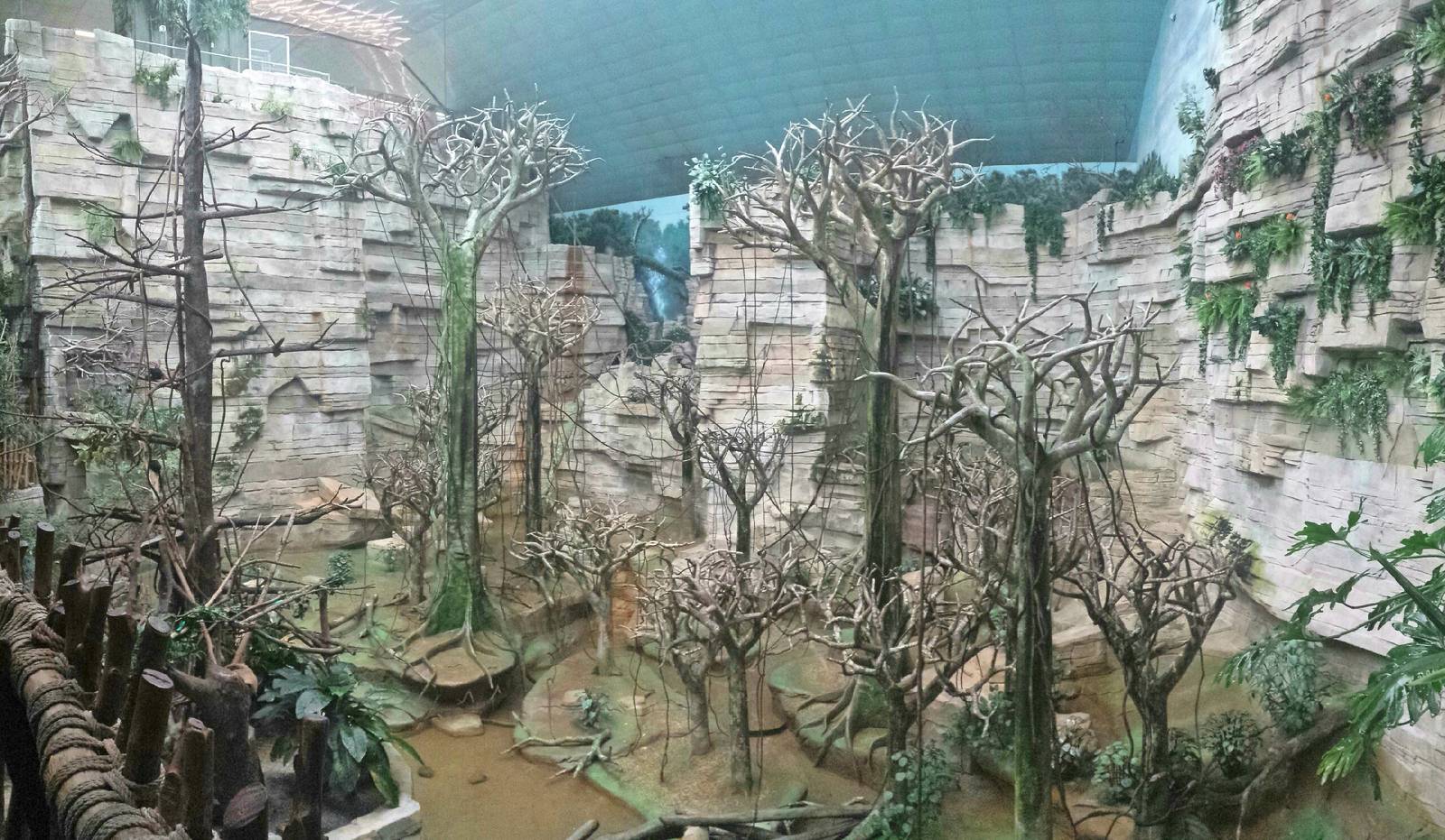 Tropic World - South America