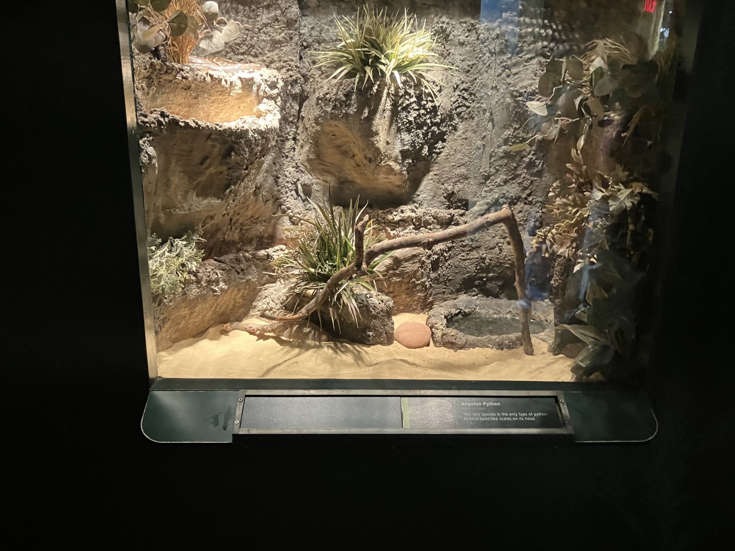 Tropic Zone - Angolan Python Terrarium