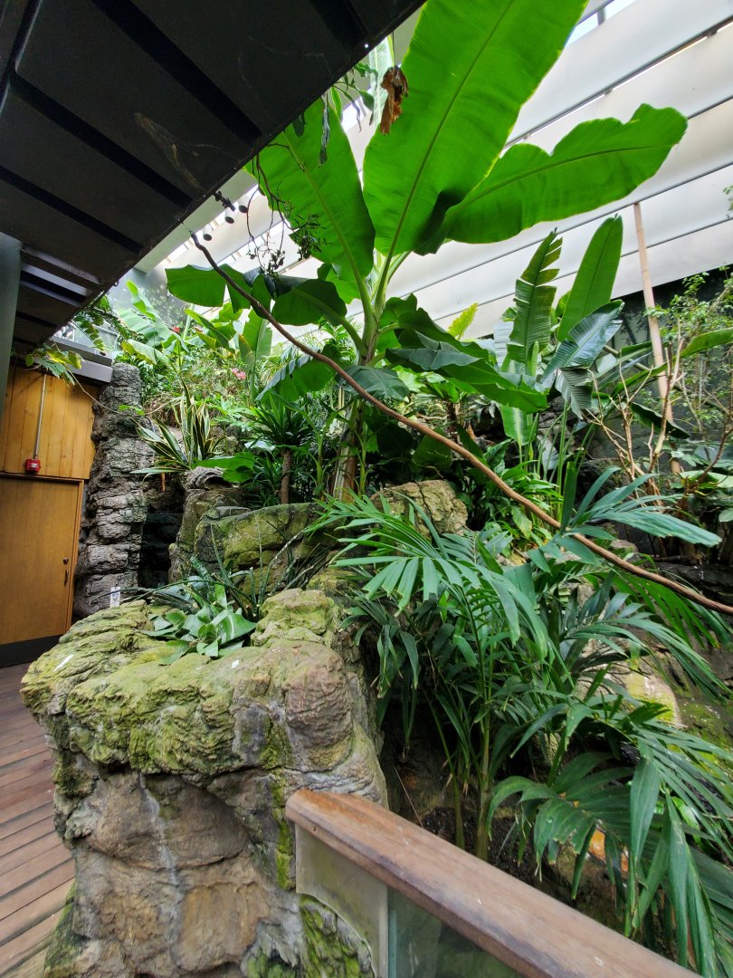 Tropic Zone - August 2021