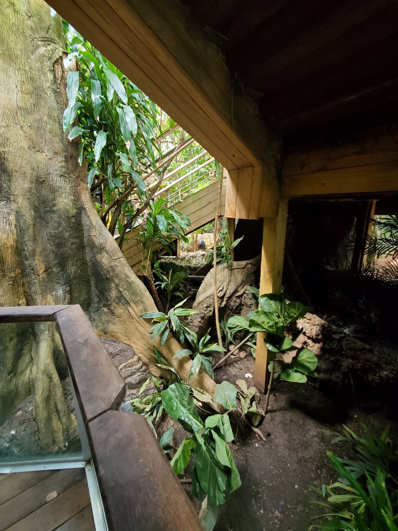 Tropic Zone - August 2021