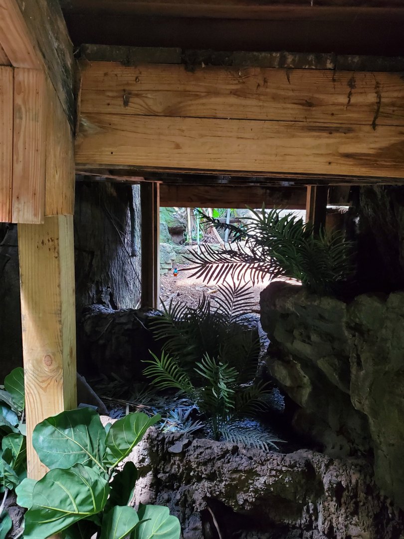 Tropic Zone - August 2021