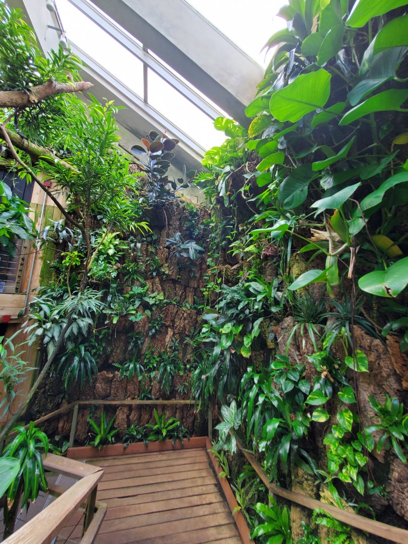 Tropic Zone - August 2021