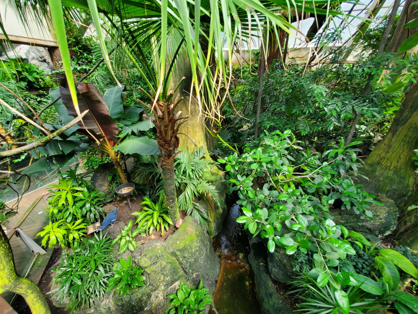 Tropic Zone - August 2021