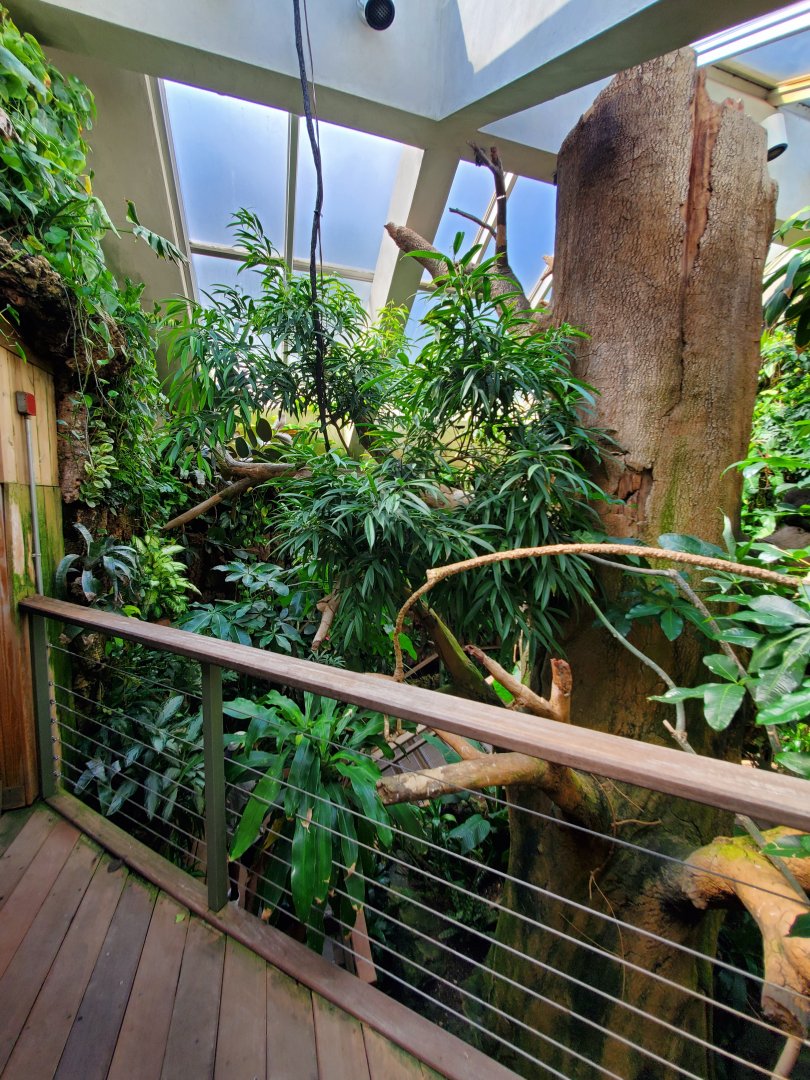 Tropic Zone - August 2021