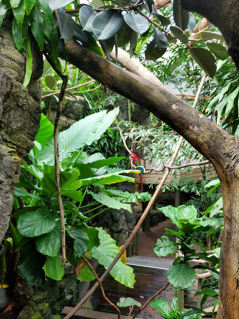 Tropic Zone - August 2021