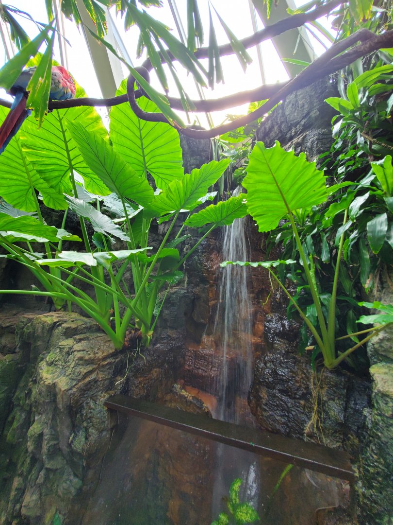 Tropic Zone - August 2021