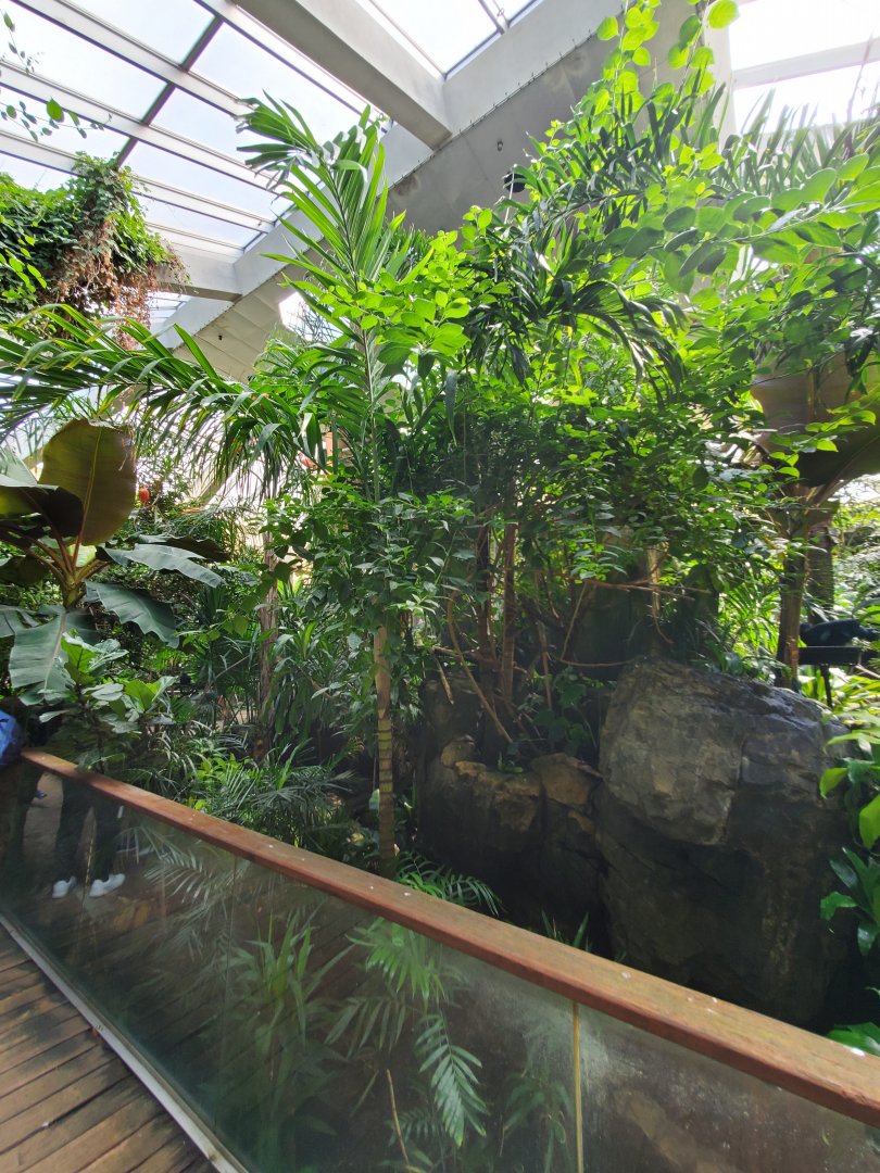 Tropic Zone - August 2021