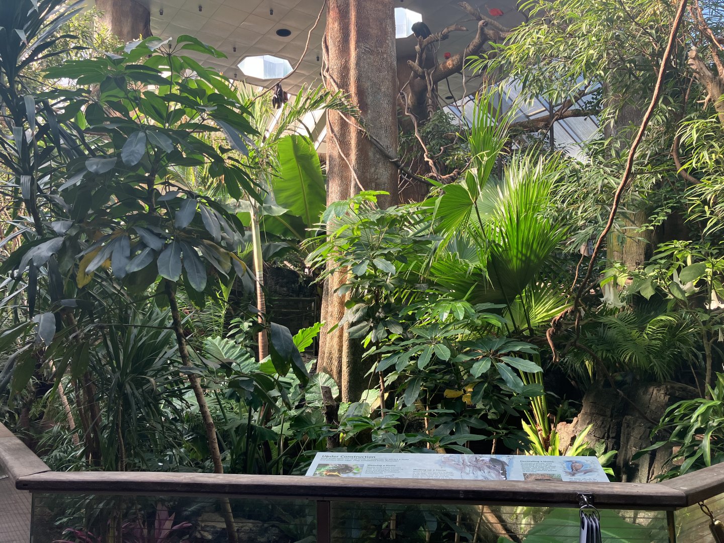 Tropic Zone - Aviary