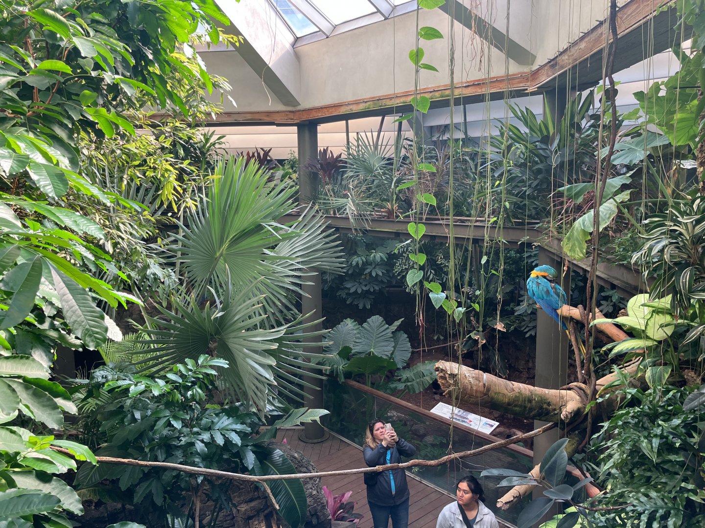 Tropic Zone - Aviary