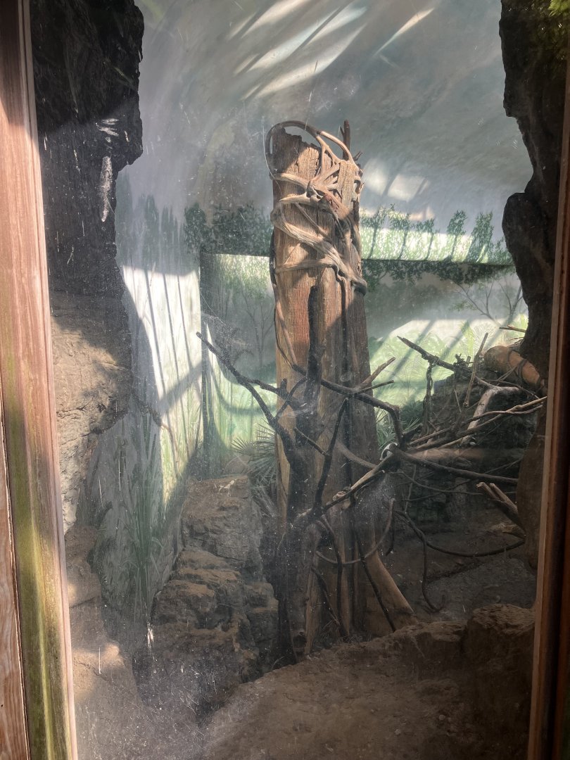 Tropic Zone - Black & White Ruffed Lemur Exhibit