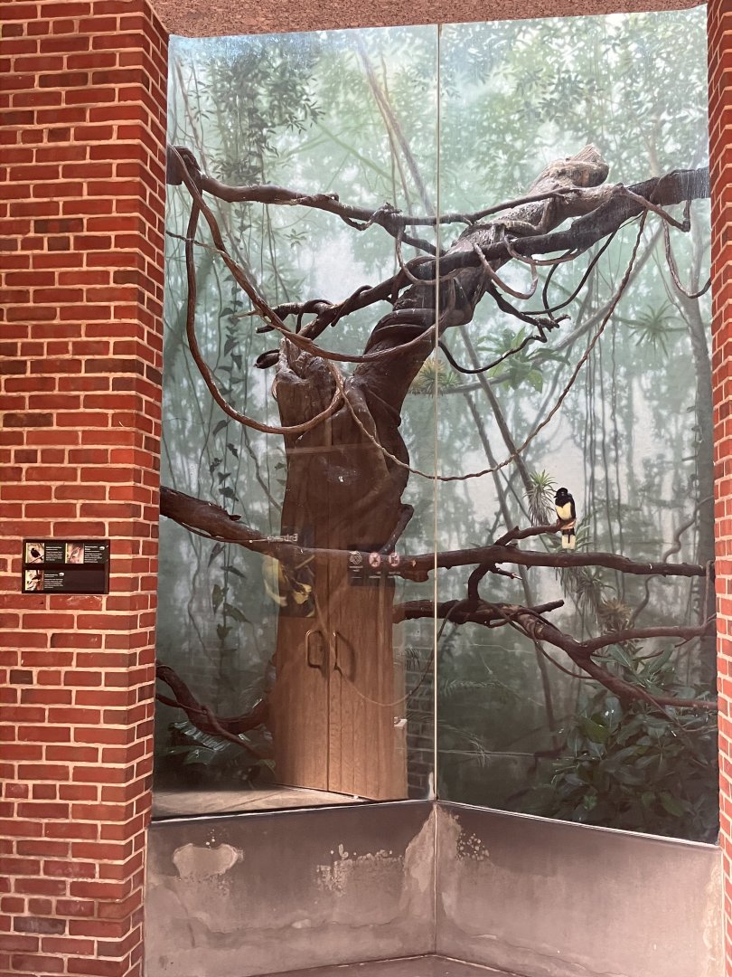 Tropic Zone - Entrance Aviary