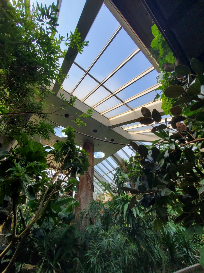 Tropic Zone General Roof View - August 2021