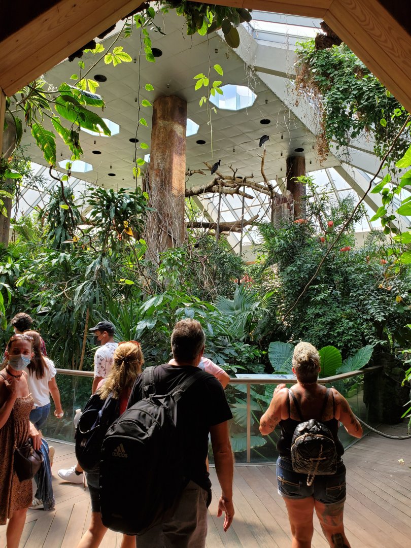 Tropic Zone General View - August 2021