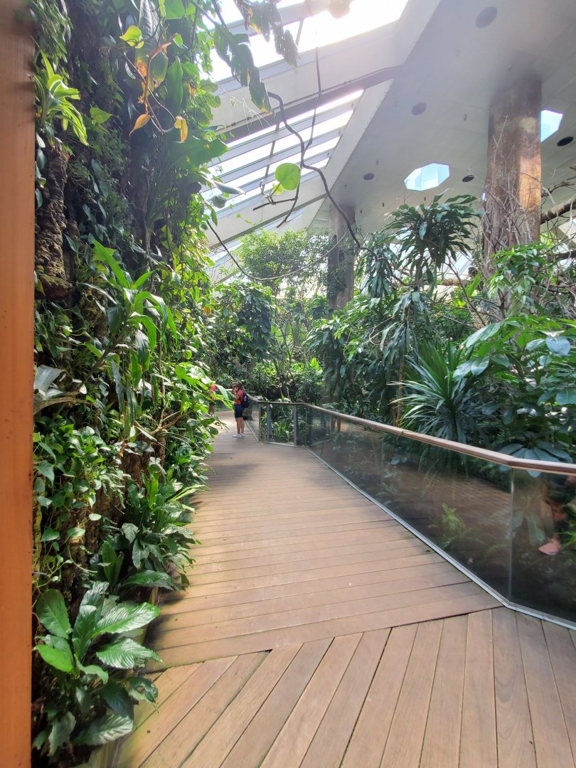 Tropic Zone General View - August 2021