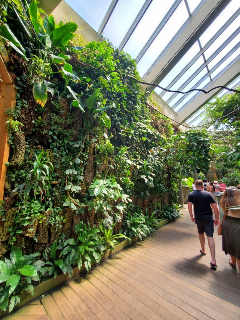 Tropic Zone General View - August 2021