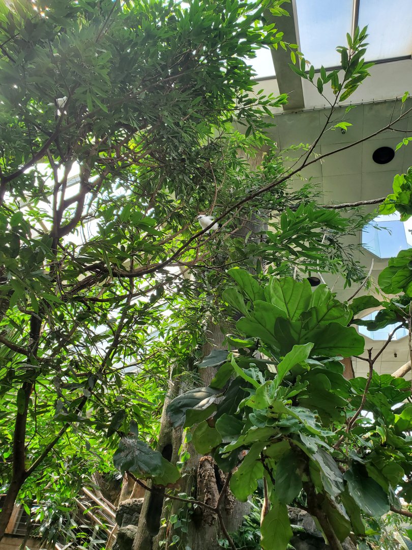 Tropic Zone General View - August 2021