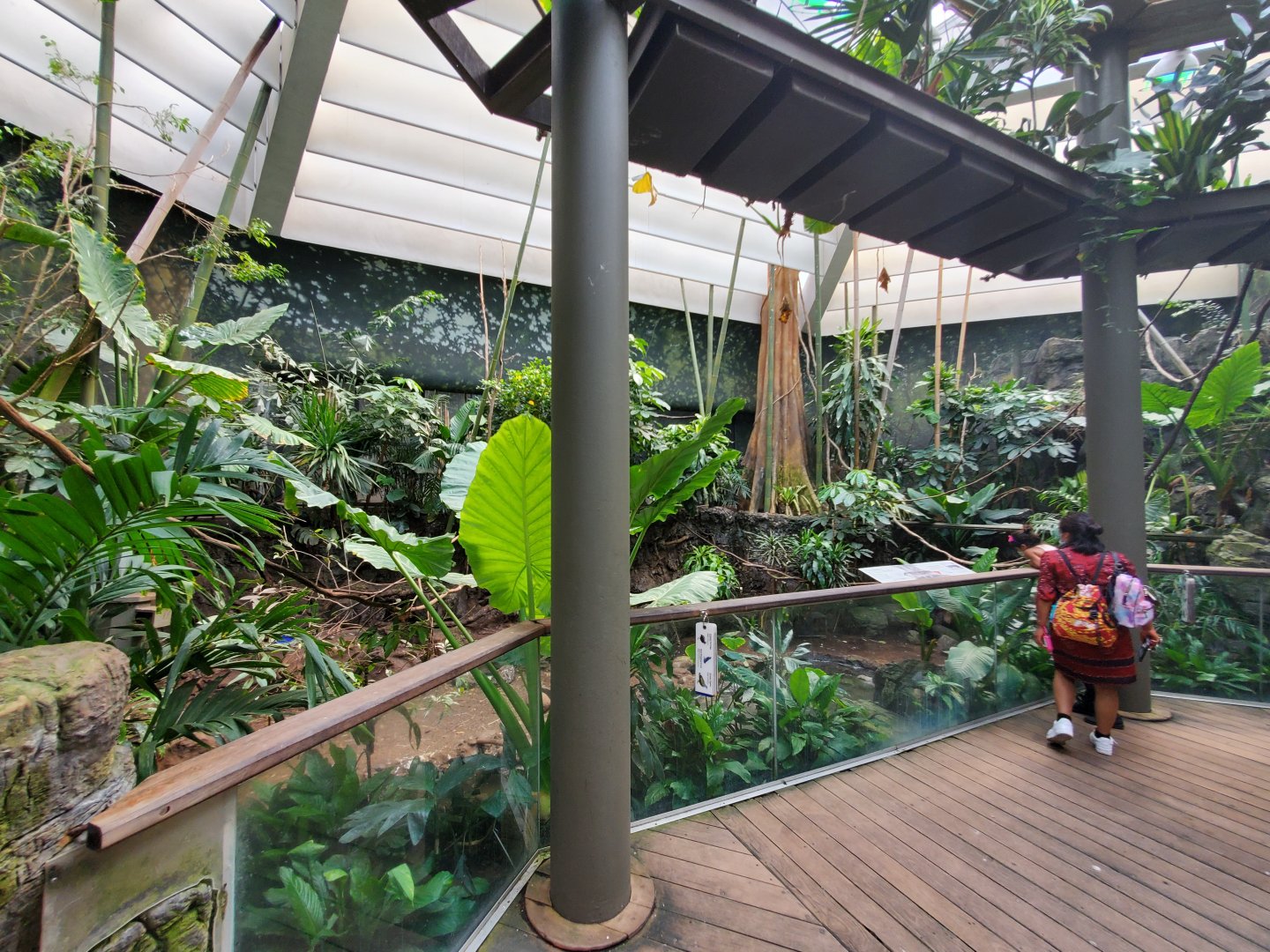 Tropic Zone General View - August 2021