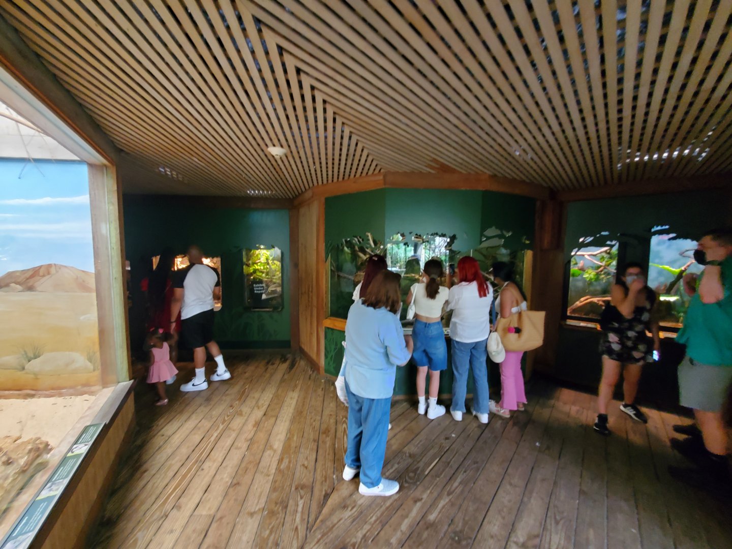 Tropic Zone - General View