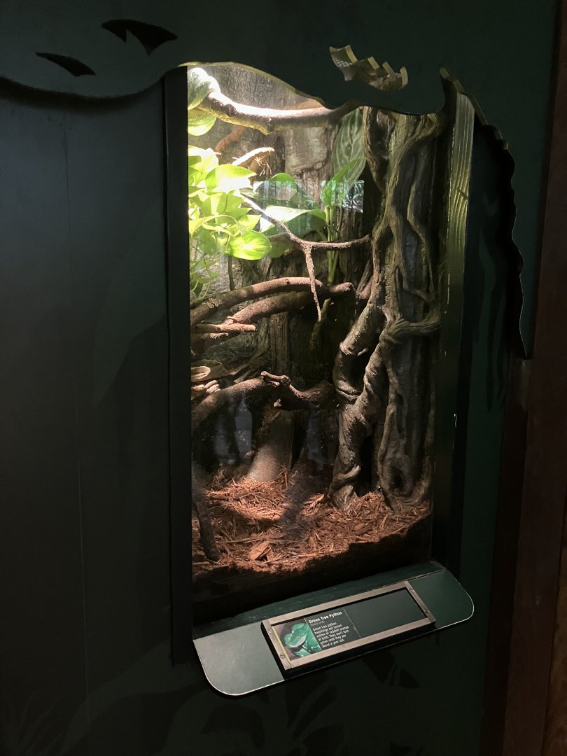 Tropic Zone - Green Tree Python Terrarium