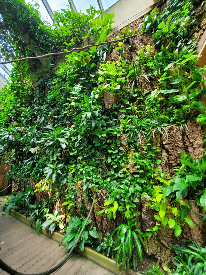 Tropic Zone Greenwall Detail - August 2021