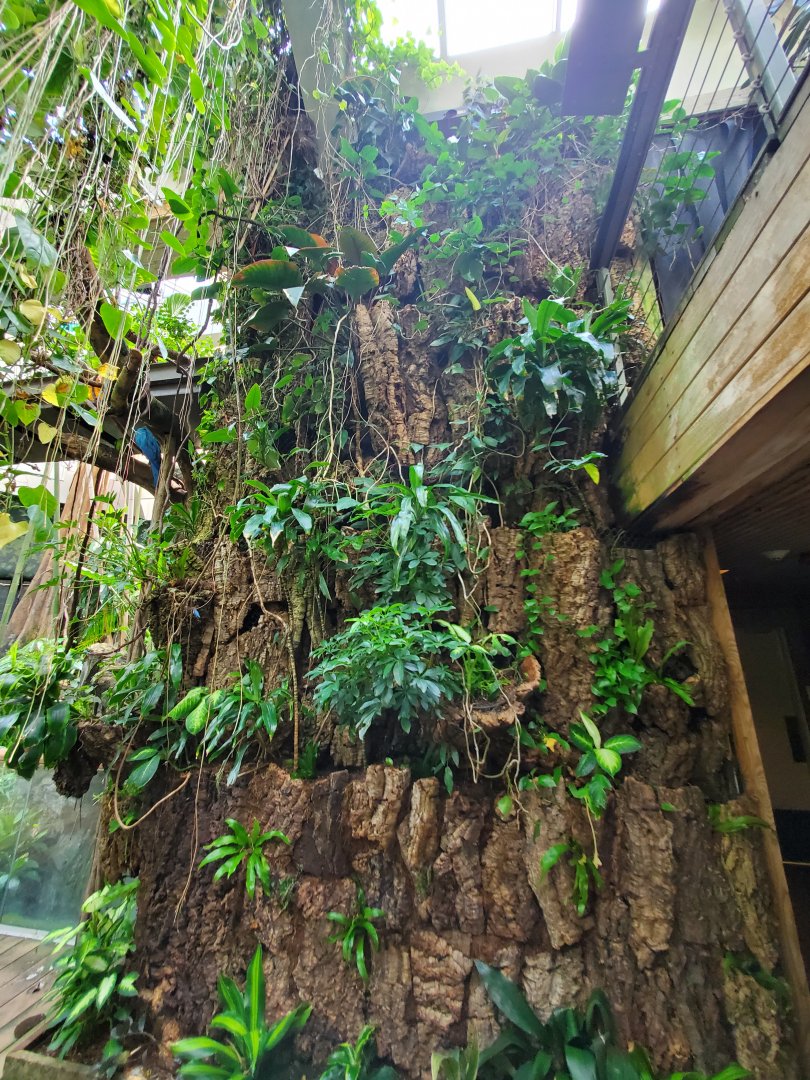 Tropic Zone Greenwall Detail - August 2021