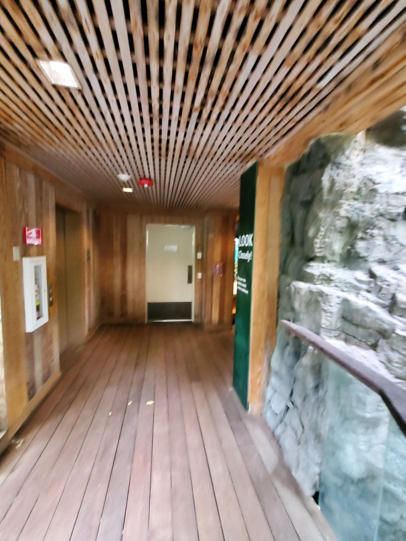 Tropic Zone Hallway - August 2021