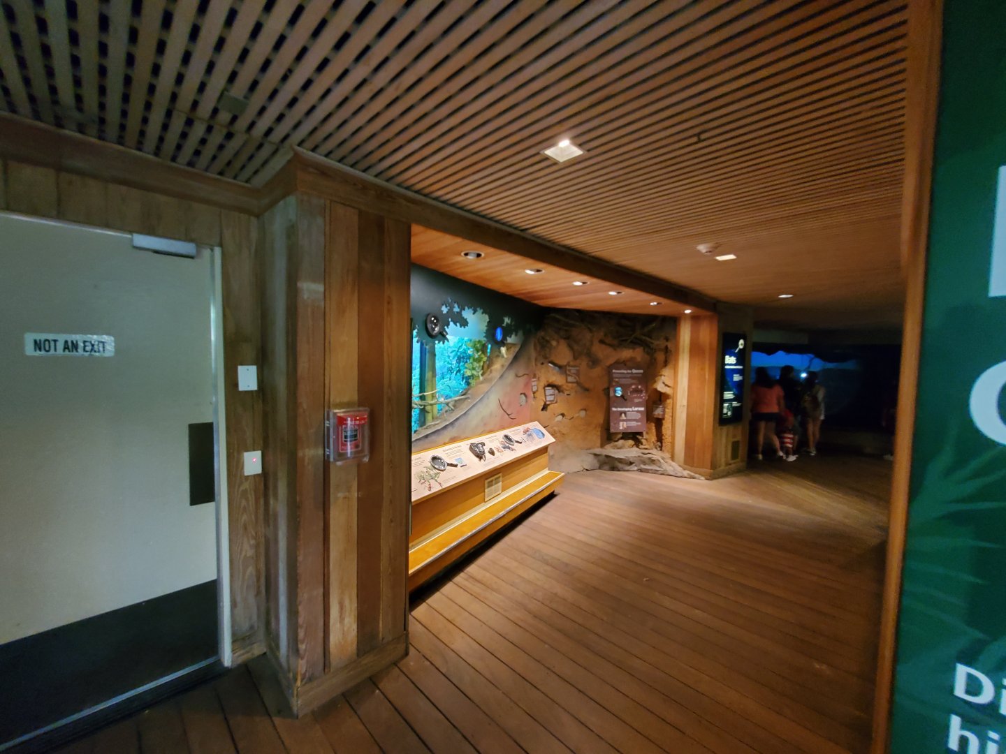 Tropic Zone Hallway View - August 2021