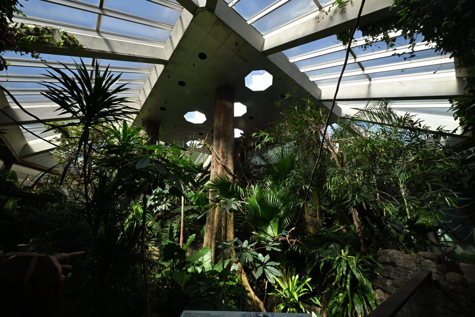 Tropic Zone - Interior