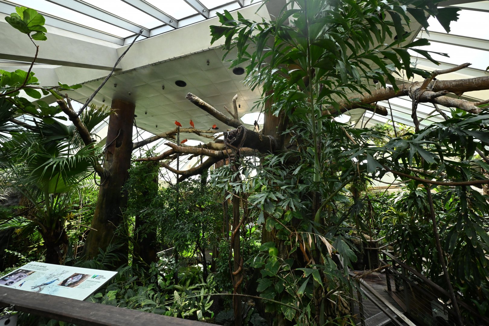 Tropic Zone - Interior