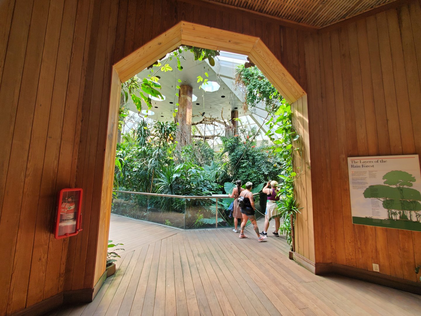 Tropic Zone Introduction - August 2021