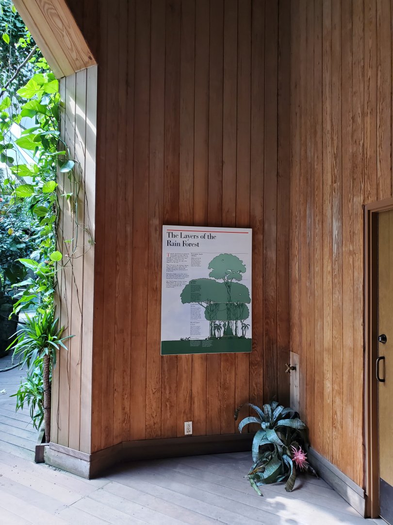 Tropic Zone/Layers of the Rainforest - August 2021