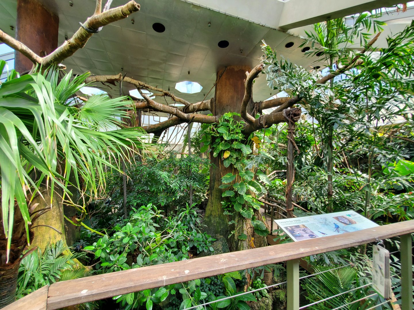 Tropic Zone Overview - August 2021