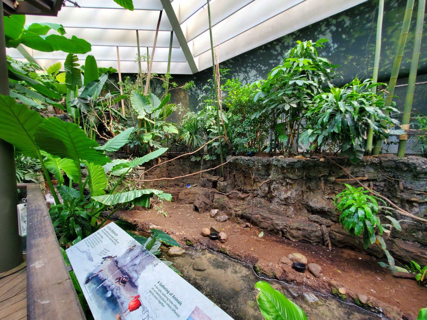 Tropic Zone (Riverbank) - August 2021