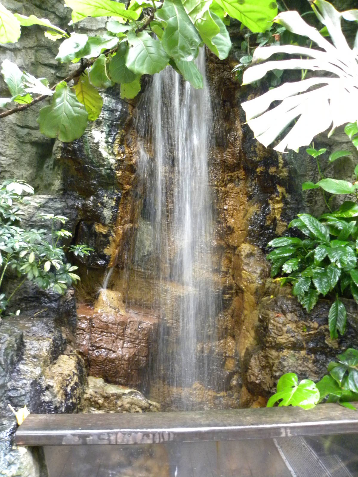 Tropic Zone: The Rainforest