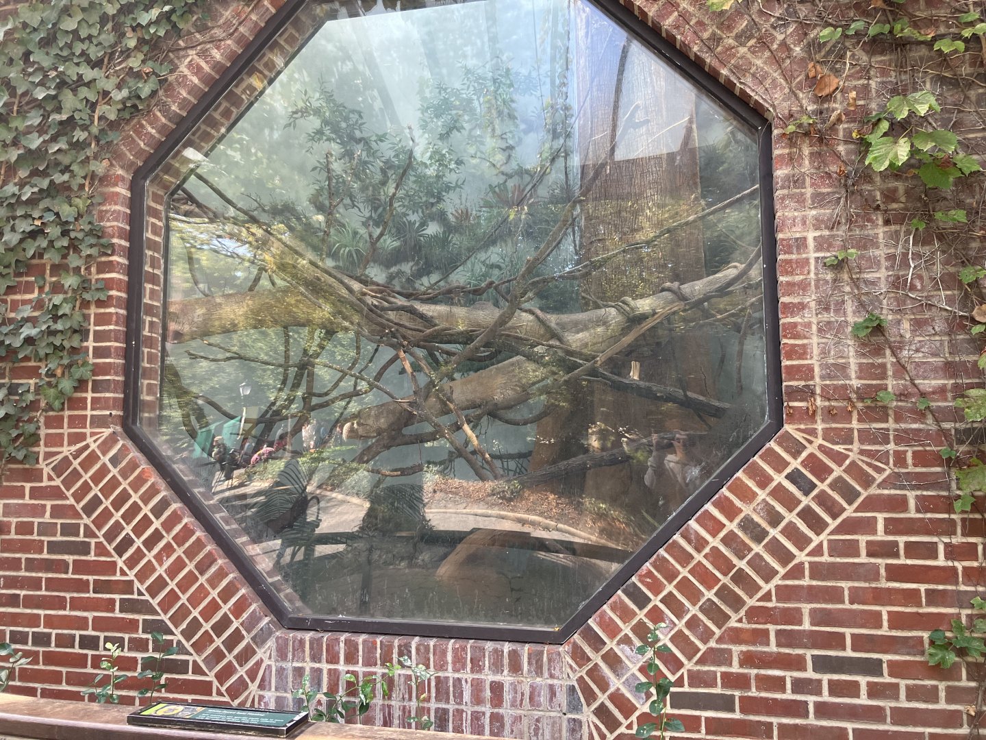 Tropic Zone - White-Faced Saki Exhibit