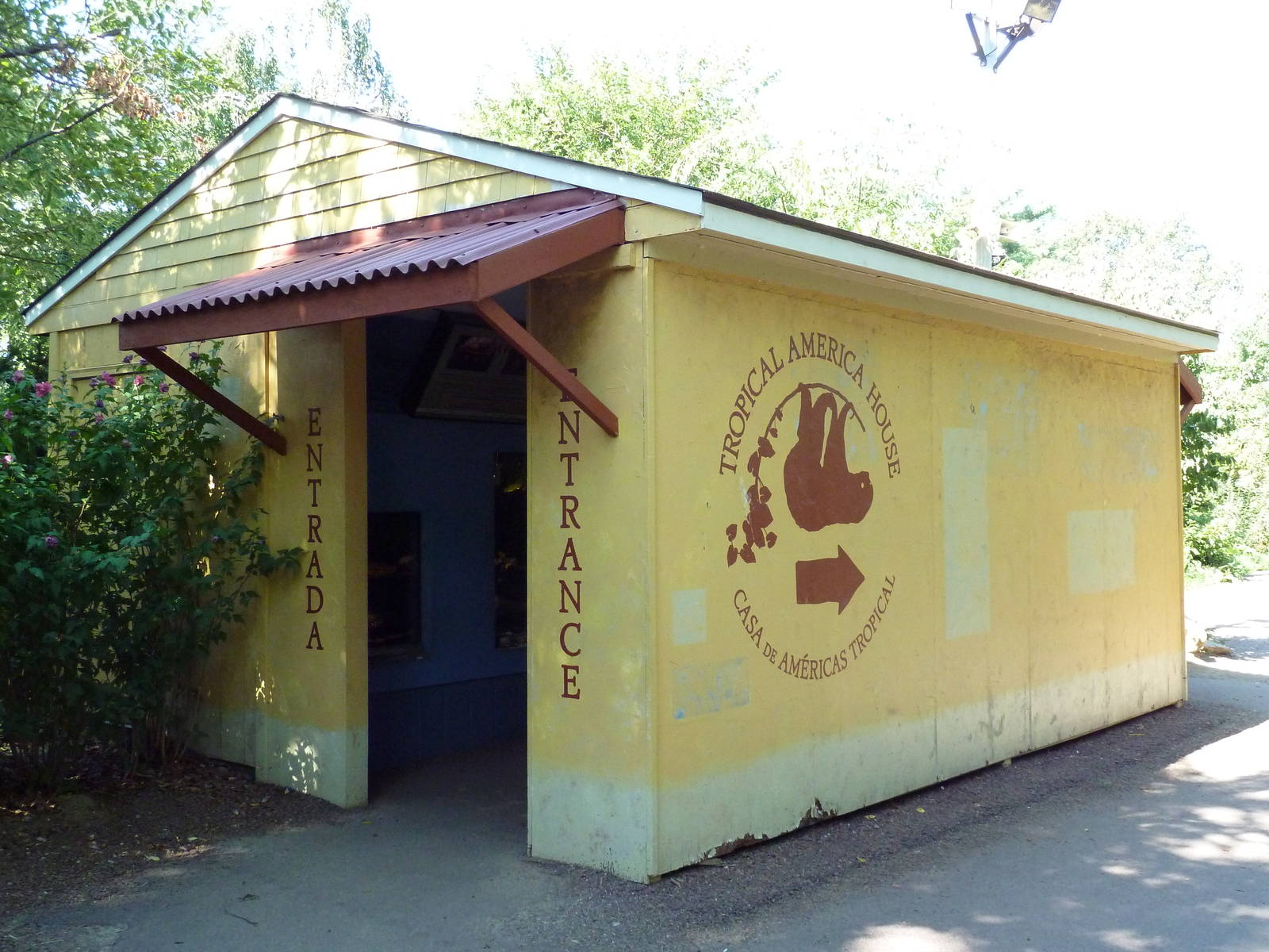 Tropical America - Assorted Terrariums