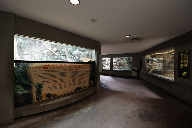 Tropical America building