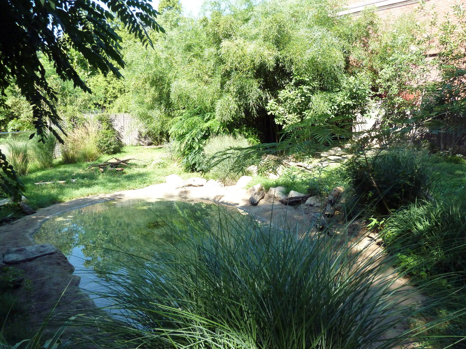 Tropical America - Giant Anteater Exhibit