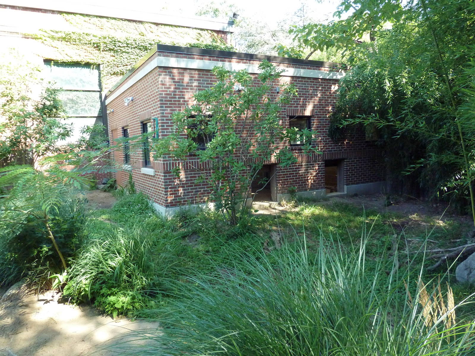 Tropical America - Giant Anteater Exhibit