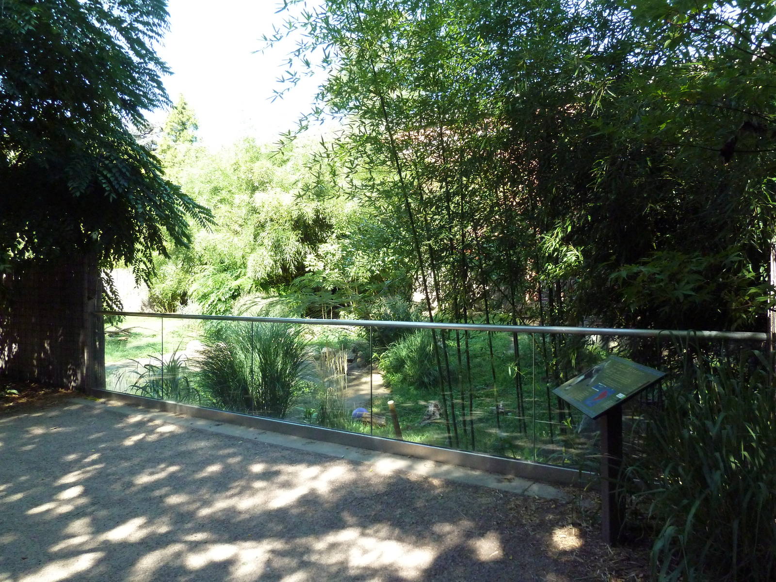 Tropical America - Giant Anteater Exhibit