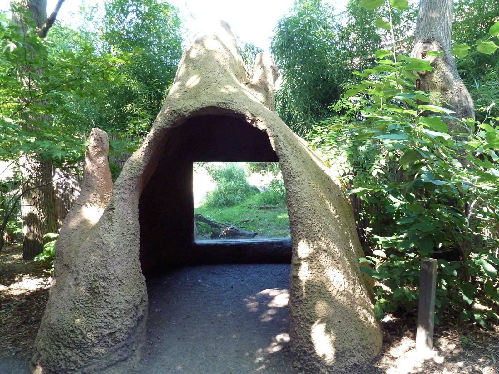 Tropical America - Giant Anteater Exhibit