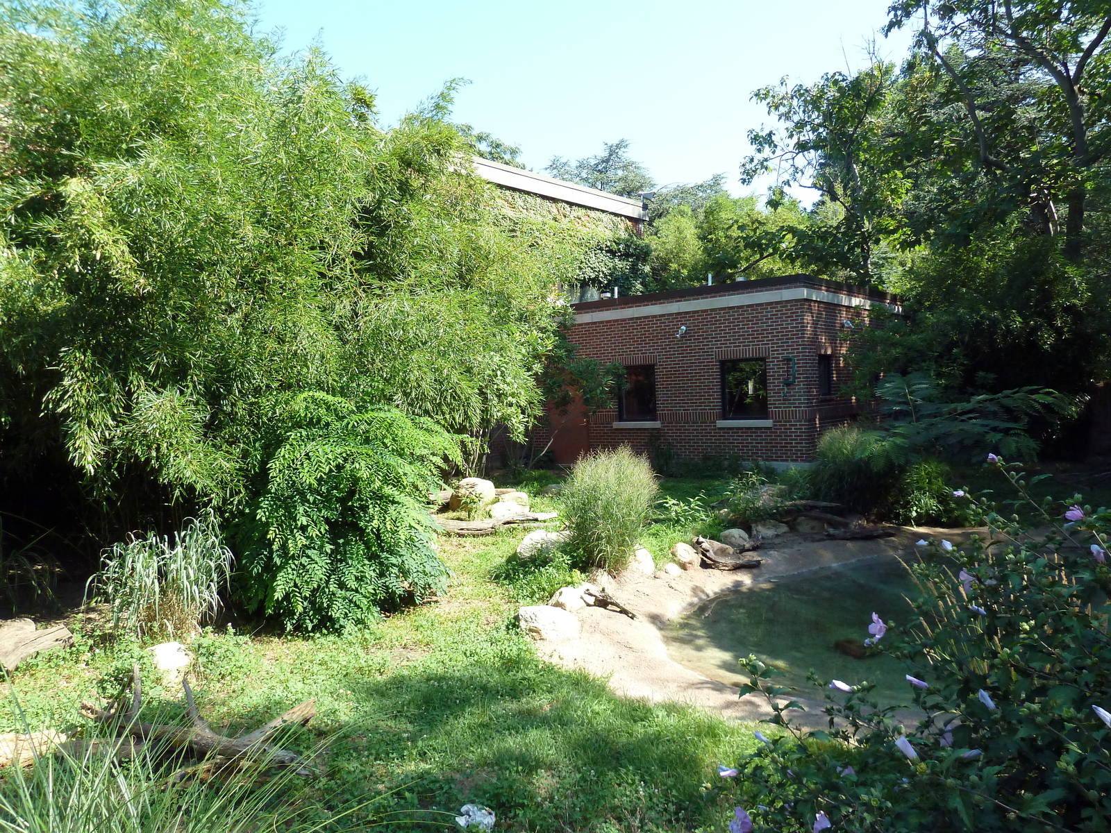 Tropical America - Giant Anteater Exhibit