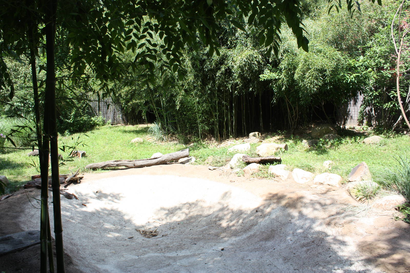 Tropical America- Giant Anteater Exhibit