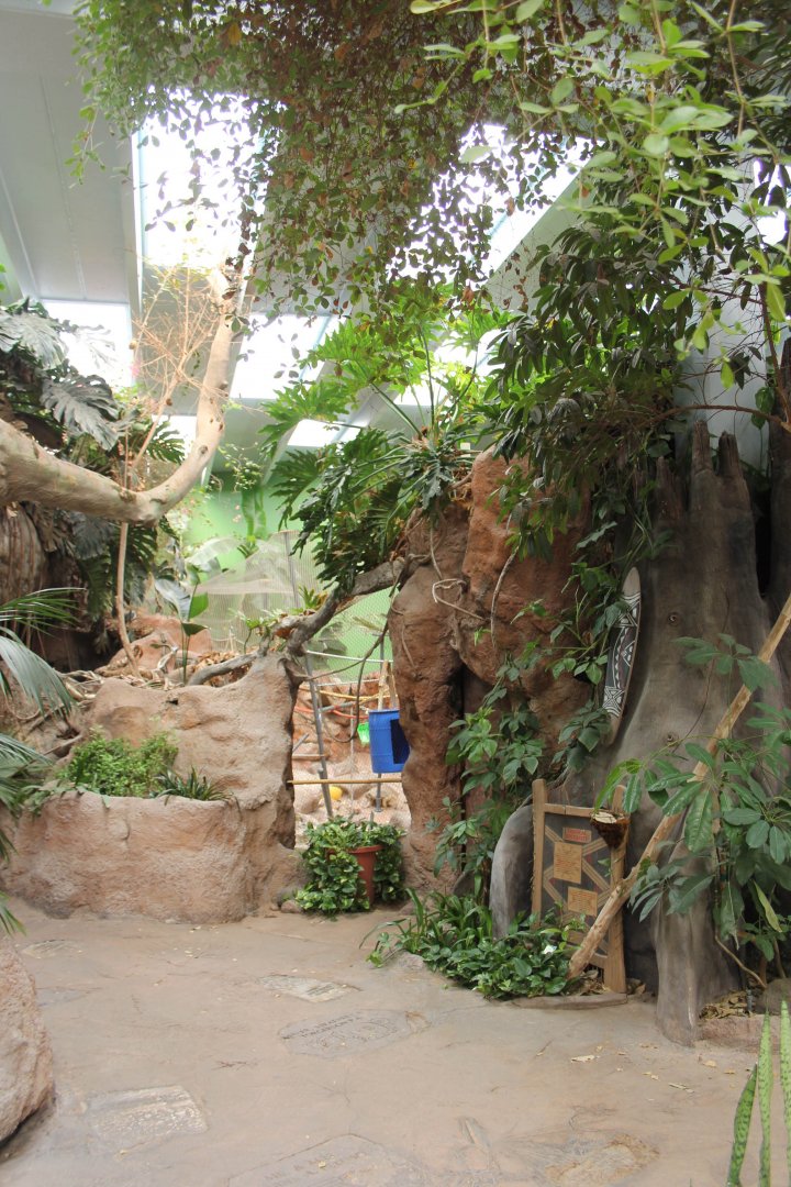 Tropical America (Indoor Rain Forest) Feb. 13, 2016