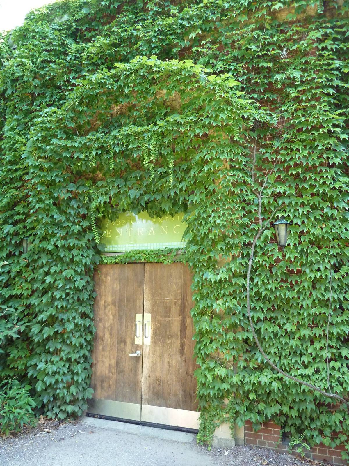 Tropical America - Mini-Rainforest Building Entrance