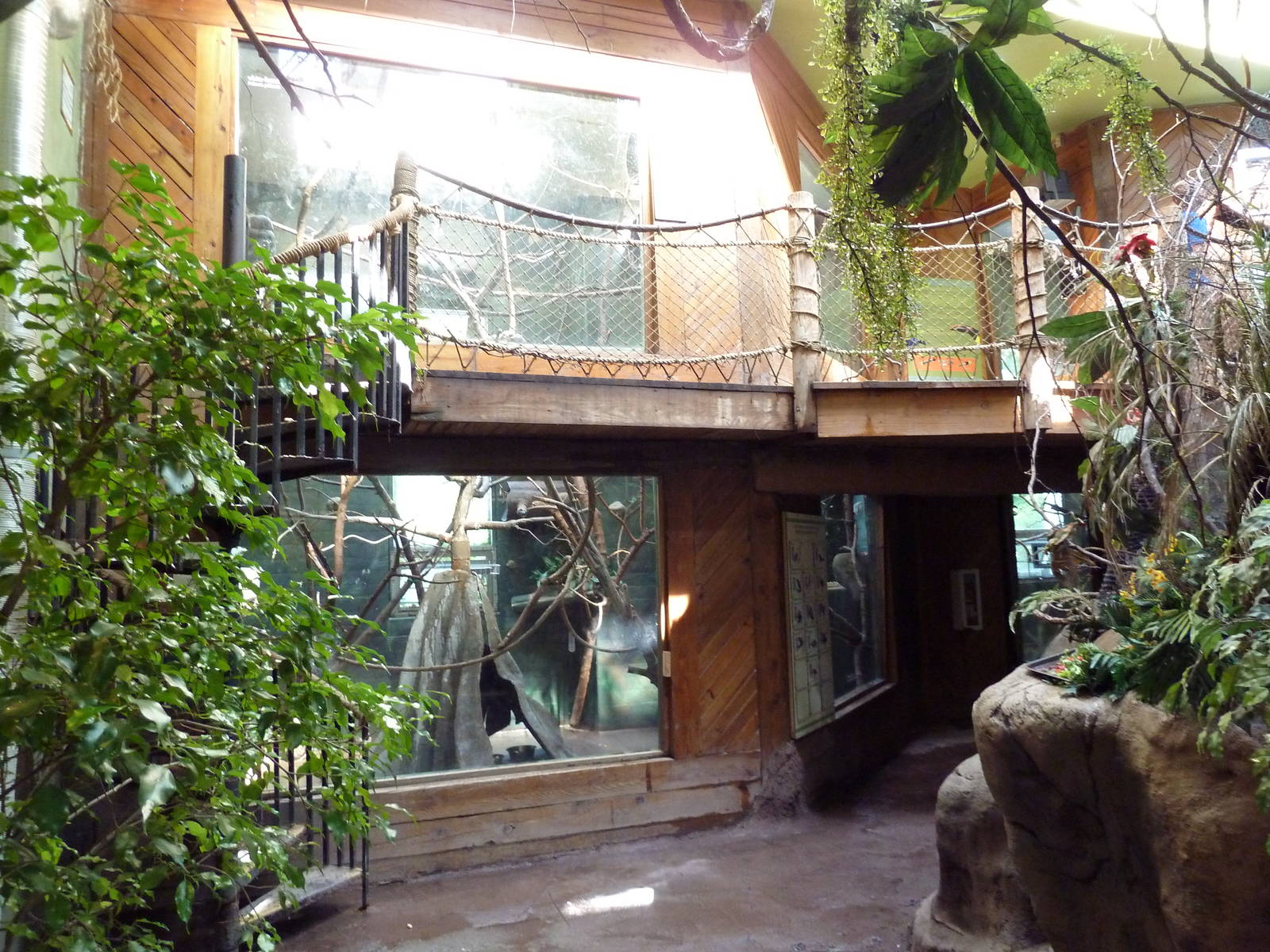 Tropical America - Mini-Rainforest Building