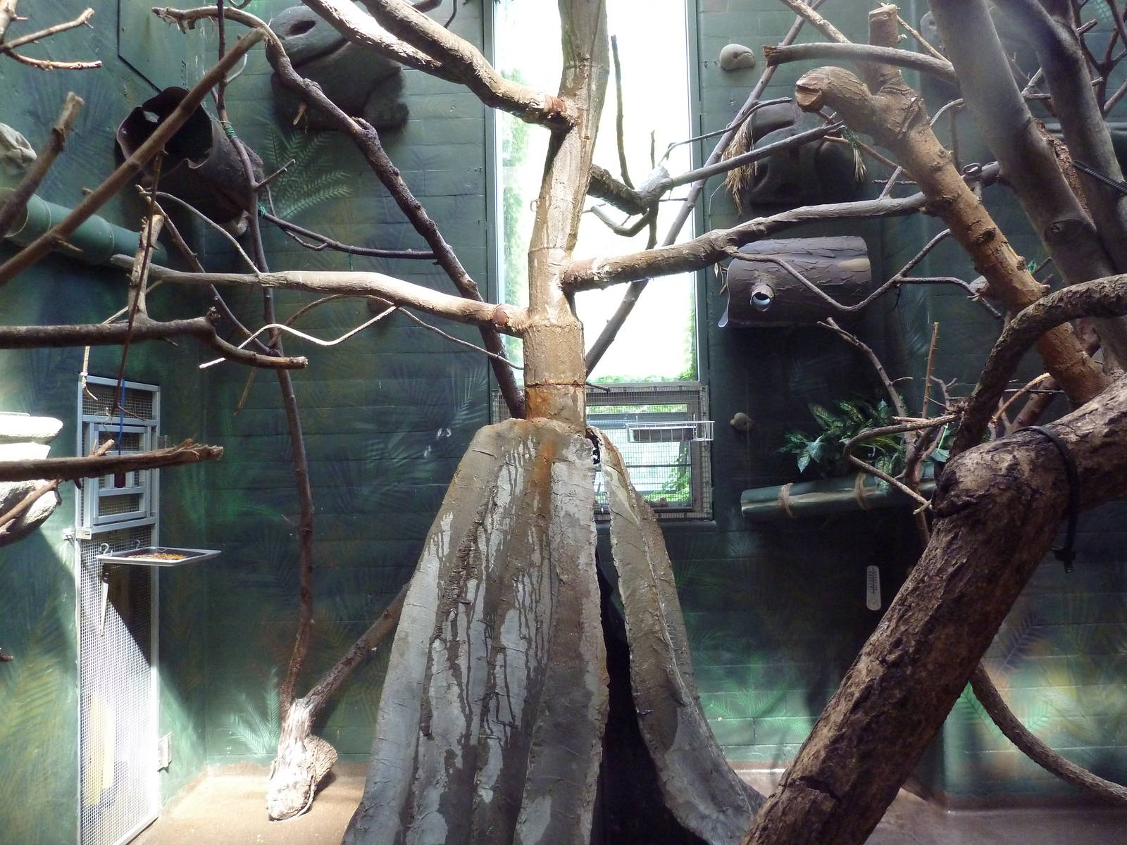 Tropical America - Mini-Rainforest Building