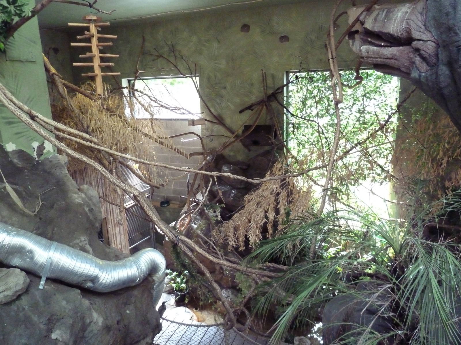 Tropical America - Mini-Rainforest Building